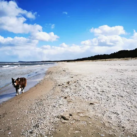 Holiday home Renken *