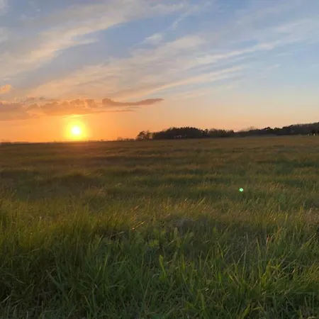 Renken 트라센하이드