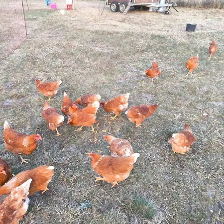 Nyaraló Renken Trassenheide