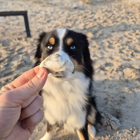 Renken * Trassenheide