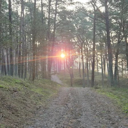 Renken Trassenheide