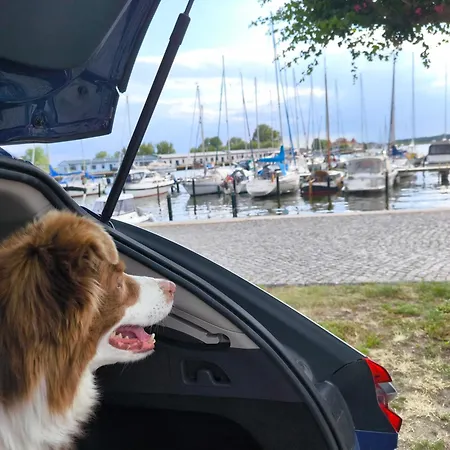 Renken * Trassenheide