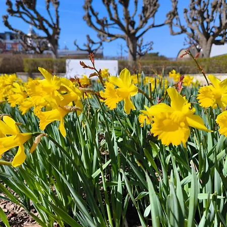 Renken Nyaraló Trassenheide